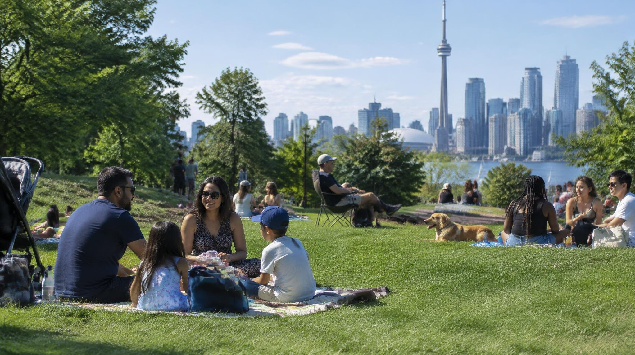 Families relaxing in a city park on a summer afternoon